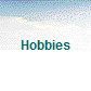 Hobbies